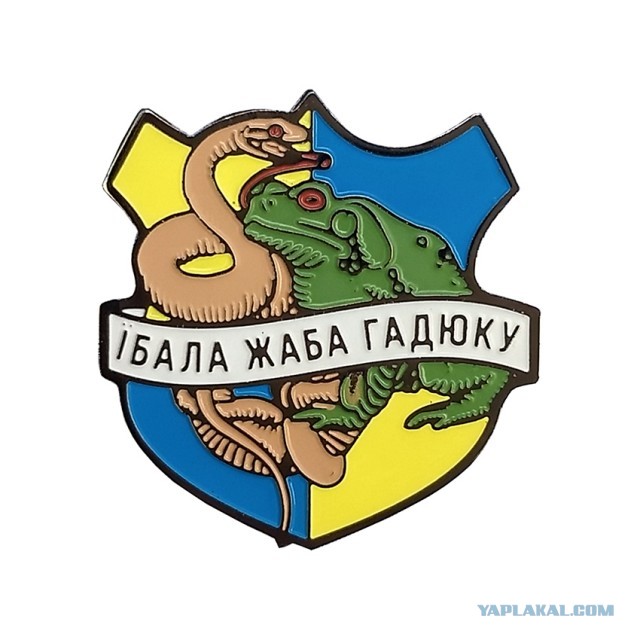 Поляк пристал к западному украинцу, традиционно обозвал его "курвой", а затем отправил в глубокий нокаут ударом в челюсть.