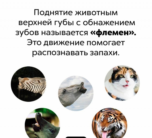 Факты. Просто факты.