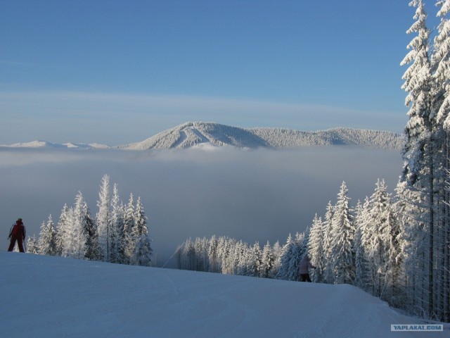 Буковель