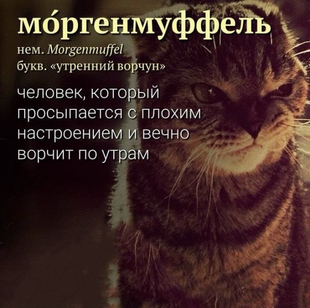 Юмор в картинках и без