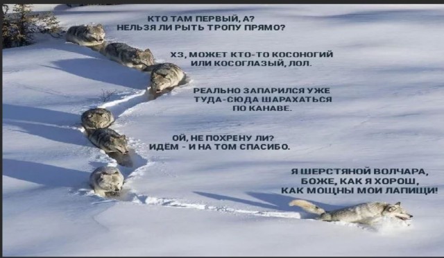 Победная поступь идиотизма по планете – том 2