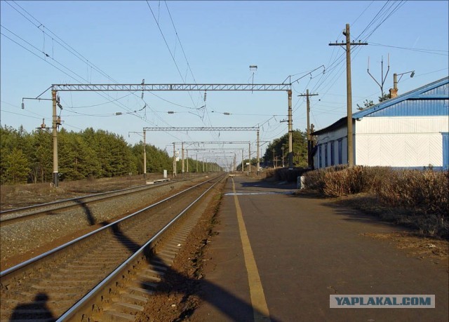 Девочку высадили из нижегородской электрички из-за отсутствия школьной карты