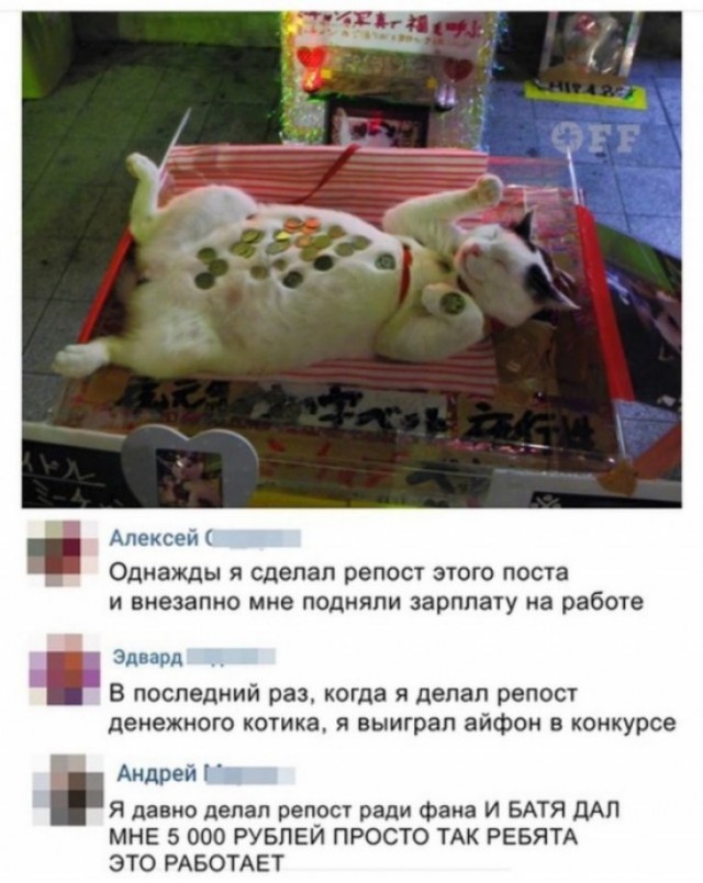 Скриншоты и комментарии из социальных сетей 10.12.22