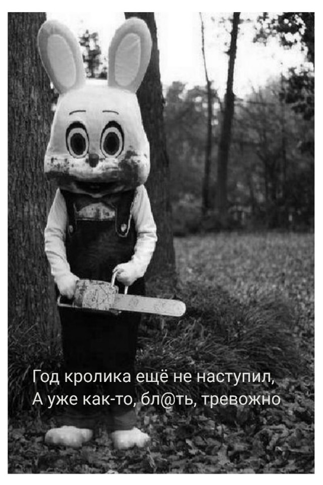 С новым годом - годом "Зайца"