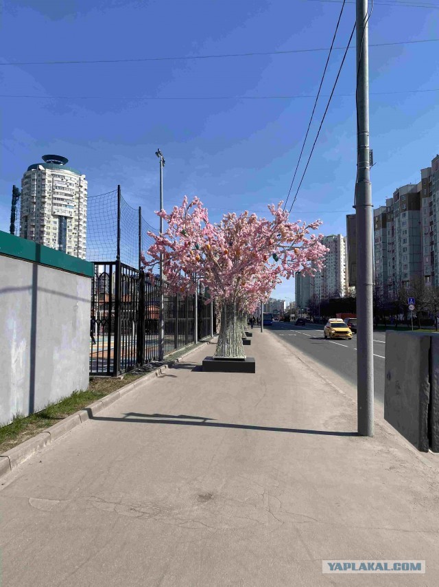 Муж и жена - одна шаурма