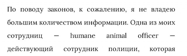 Регионам разрешили усыплять бездомных собак