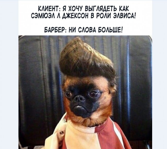Картинки и мемы для настроения - 187