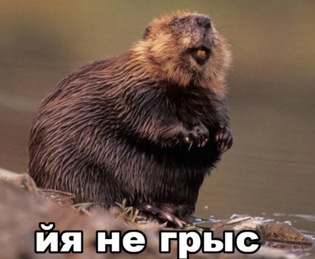 Как найти обрыв провода?⁠⁠