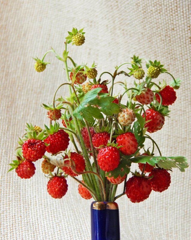 Природа Южного Урала