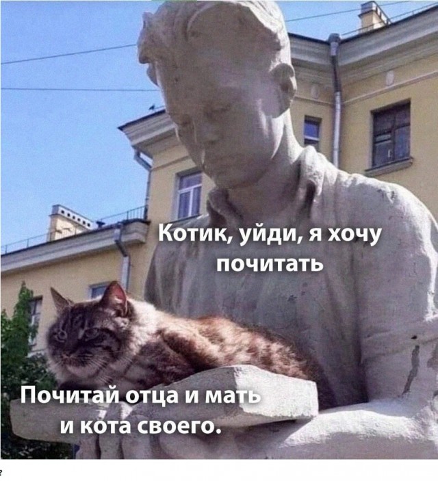 Деревенская Америка - 10