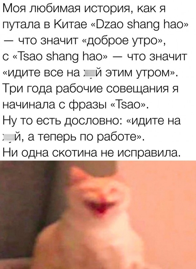 Так себе картинки 11.09.23