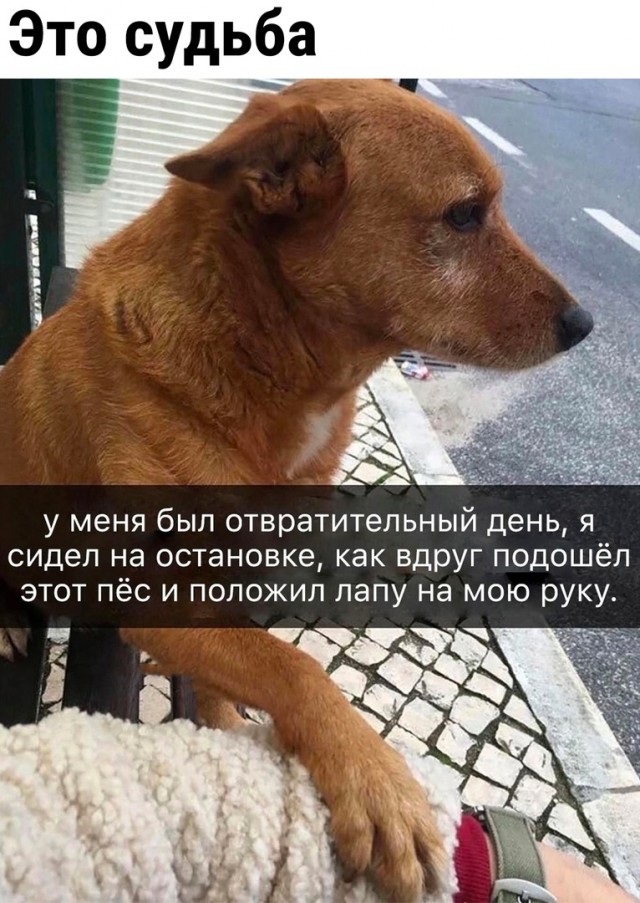 Так себе картинки 30.09.2023