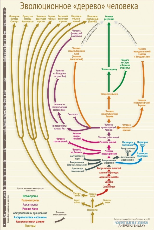 Кратко о Ануннаках. Самое важное!
