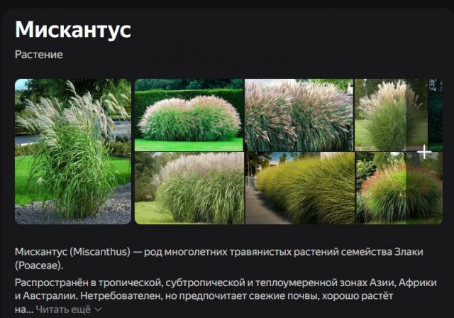 Химия и жизнь