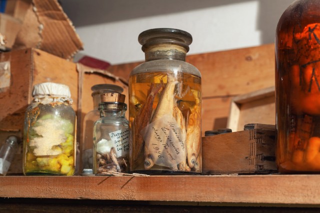 Убежище "Закусочное"