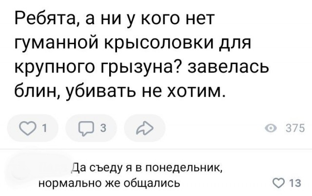 Забавные комментарии из социальных сетей (27.11.23)