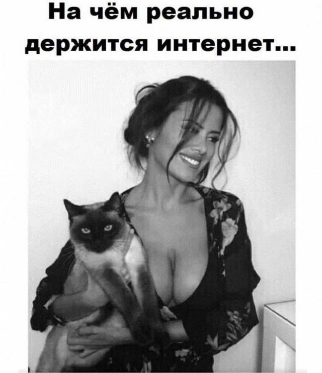 Приколы с налетом деградации