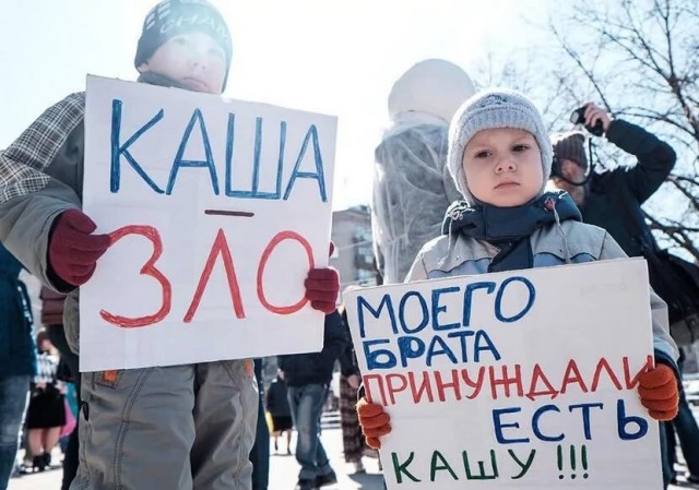 «Это прецедент, у нас такого не было». Подмосковному детсаду вернули собаку, изъятую из-за «санитарных норм»