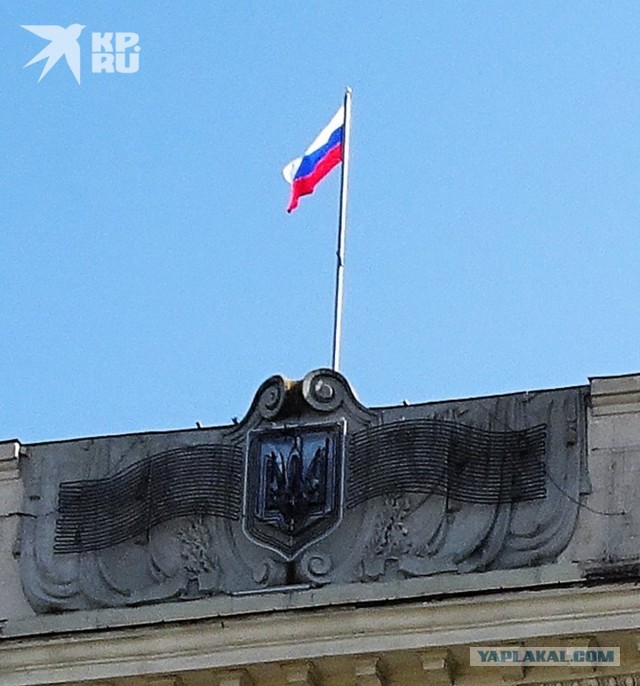 План Надеждина: первый день, первая неделя