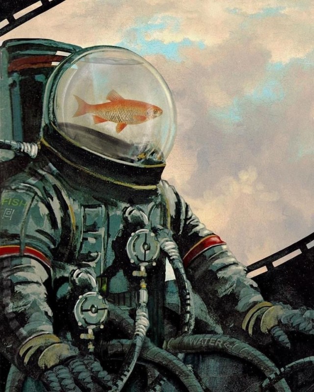 Нуштош 26.06.2024