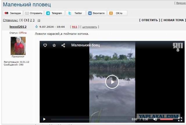 Маленький пловец
