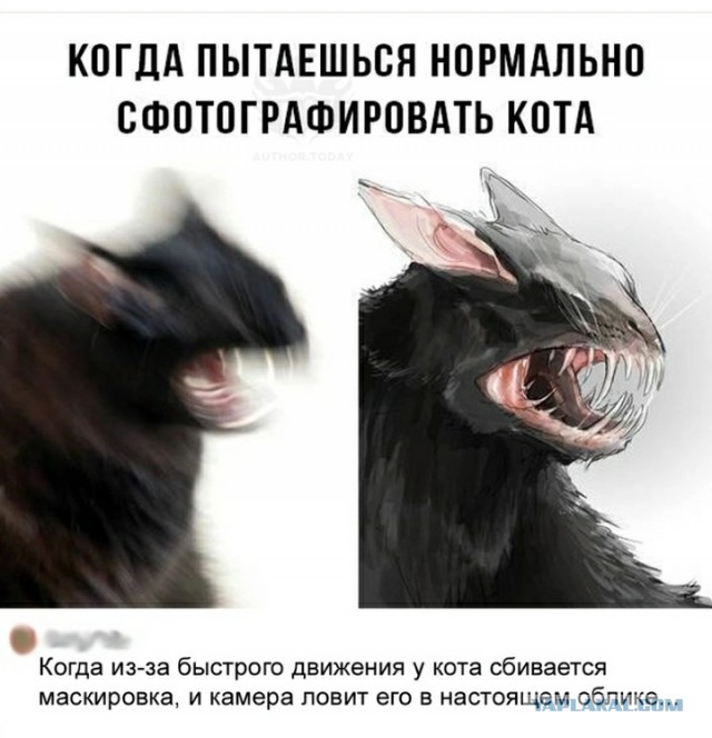 Весёлый полтишок 10.07.24