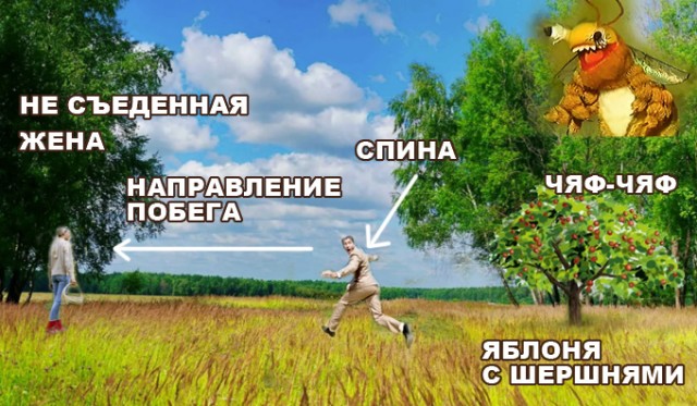 Завалялось тут случайно немного забавных картинок
