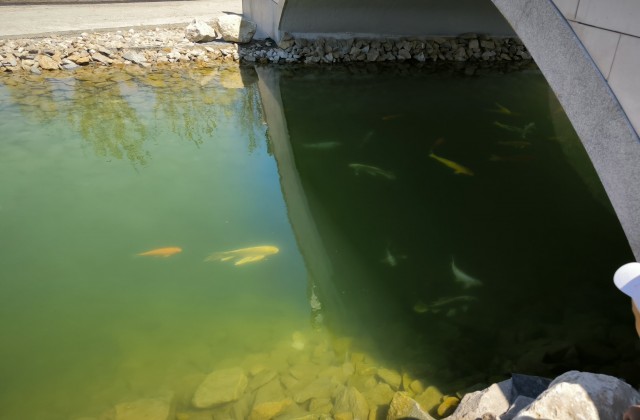 Крым. Август 2024.