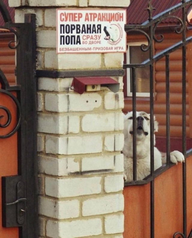 Нуштош 16.08.2024