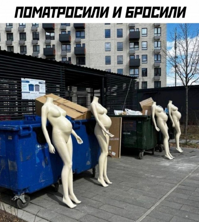 Немного забавных картинок от 22.08.2024