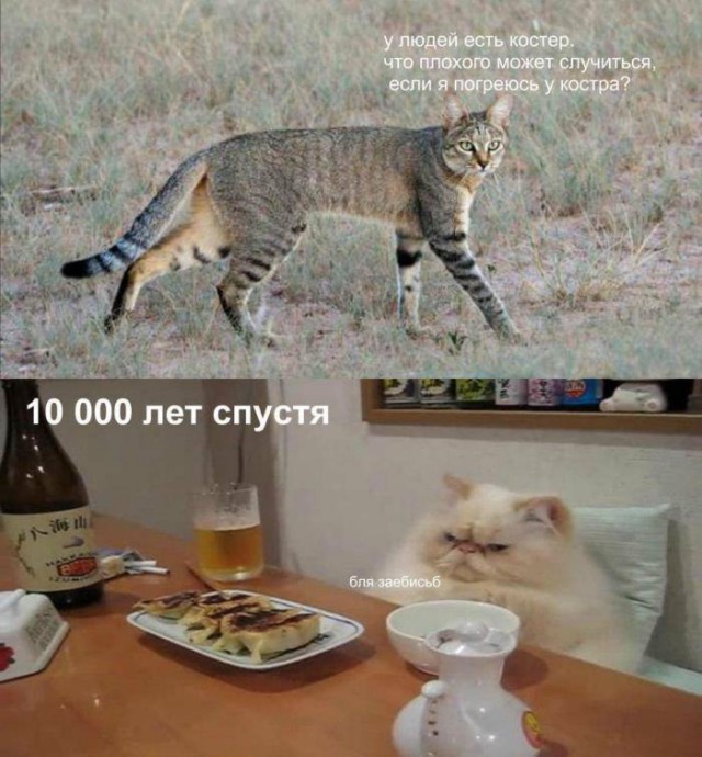 Завалялось тут случайно немного забавных картинок