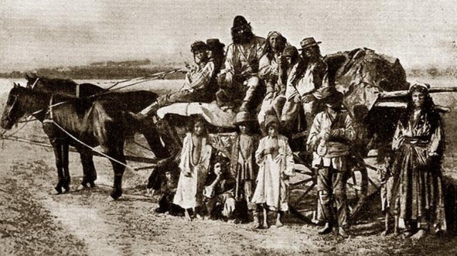 Кто такие коновалы и почему их профессия исчезла