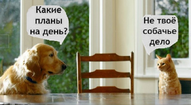 Картинки разные с надписями и без