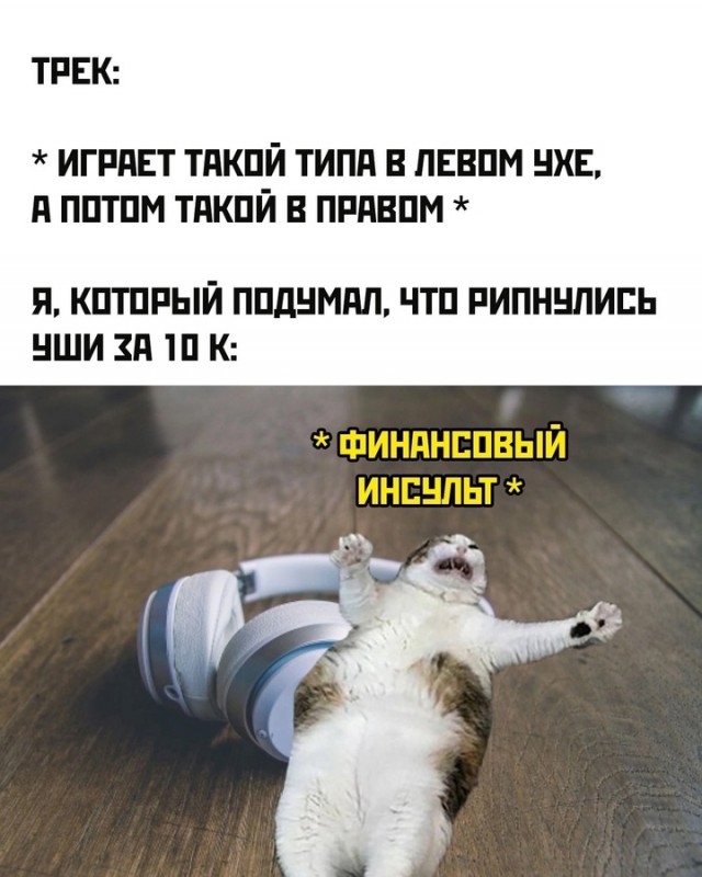 Весёлый полтишок 22.11.24
