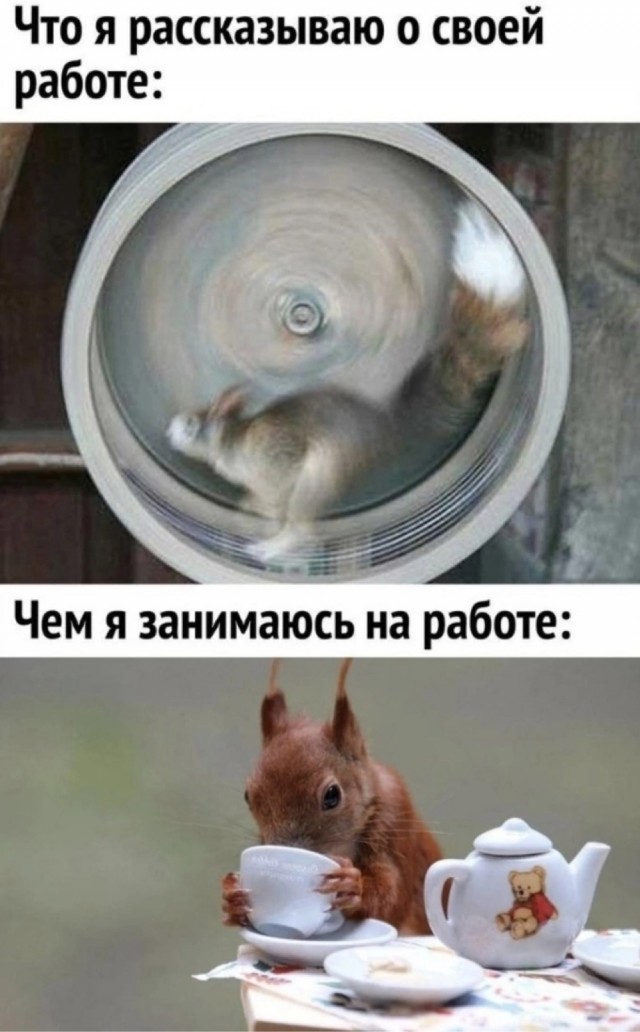 Завалялось тут случайно немного забавных картинок