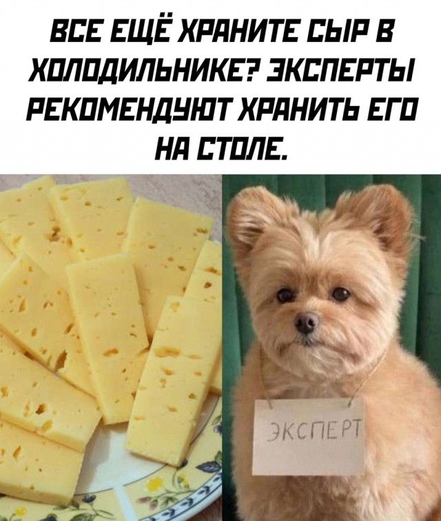 Так себе картинки 31.12.24