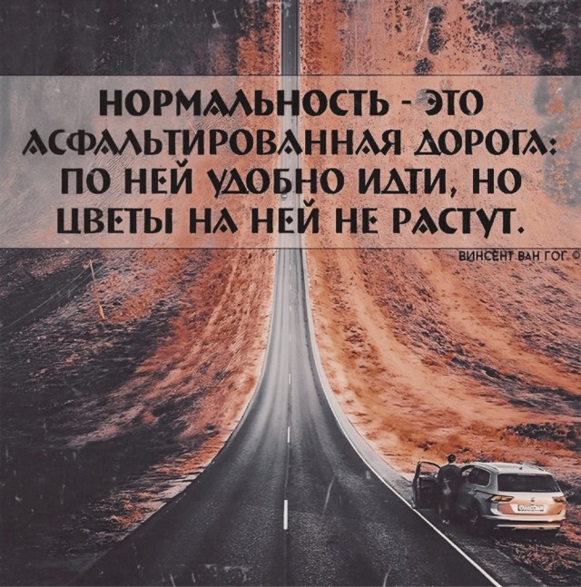 Прикольные и просто красивые картинки 17.01.2025