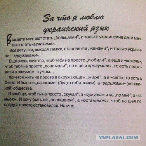 Рассказ "За что я люблю украинский язык"