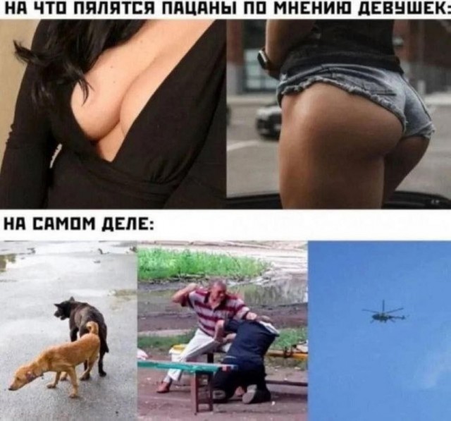 Веселые картинки в пятницу (04.04)