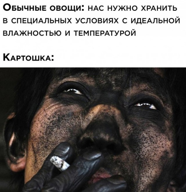 Веселые картинки в пятницу (11.04)