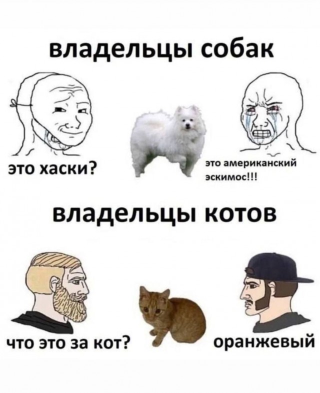 Немного е*анины на субботу