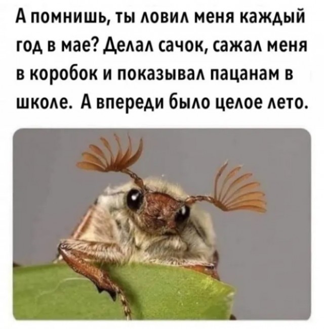 Завалялось тут случайно немного забавных картинок