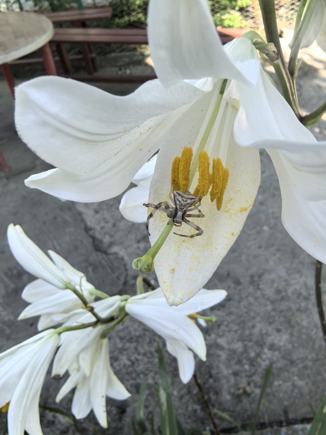 Когда даже фубл. тебе улыбается.