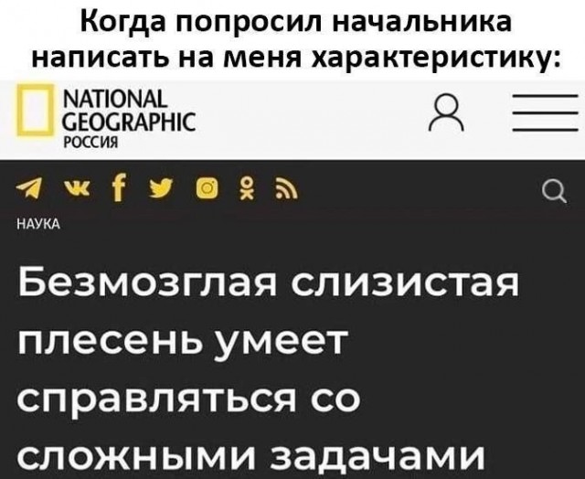 Картинки для деградации 52 (разной степени свежести)