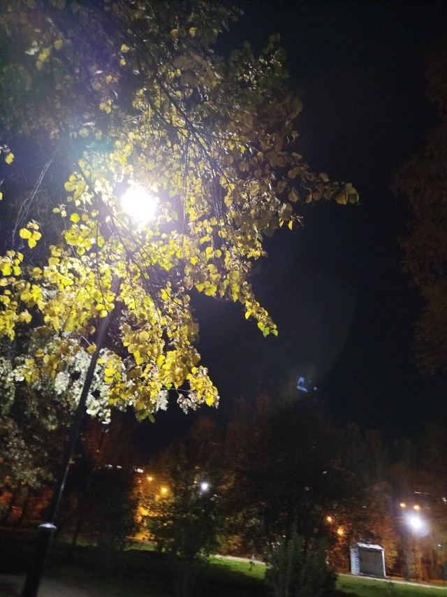 Вот и осень к нам пришла