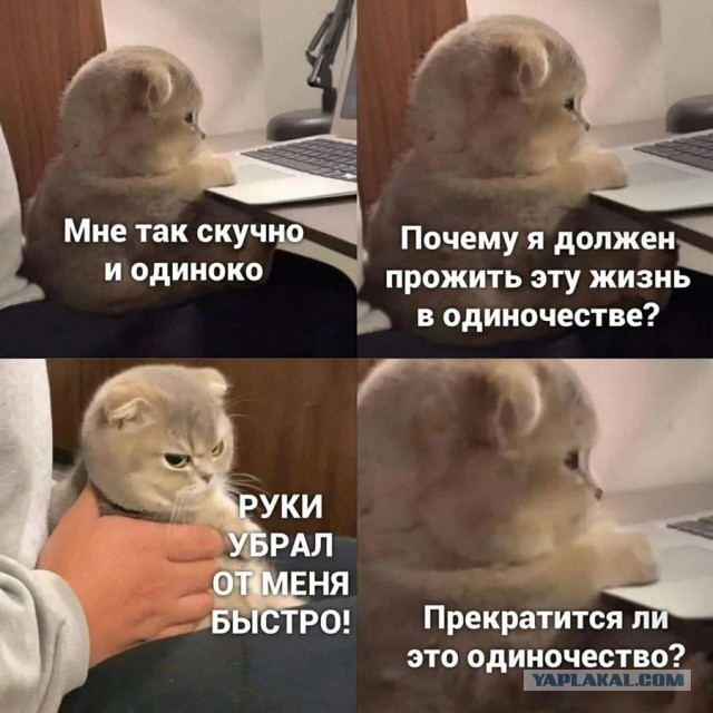 Так себе картинки 15.11.25