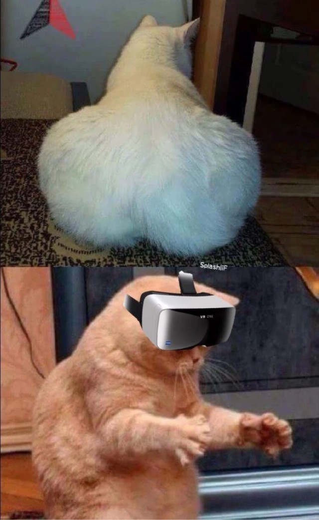 Веселое настроение в картинках (19.11.2025)