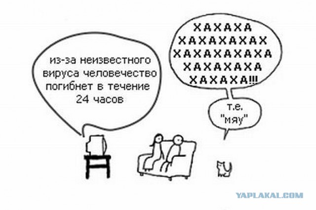 Привет, кожаные