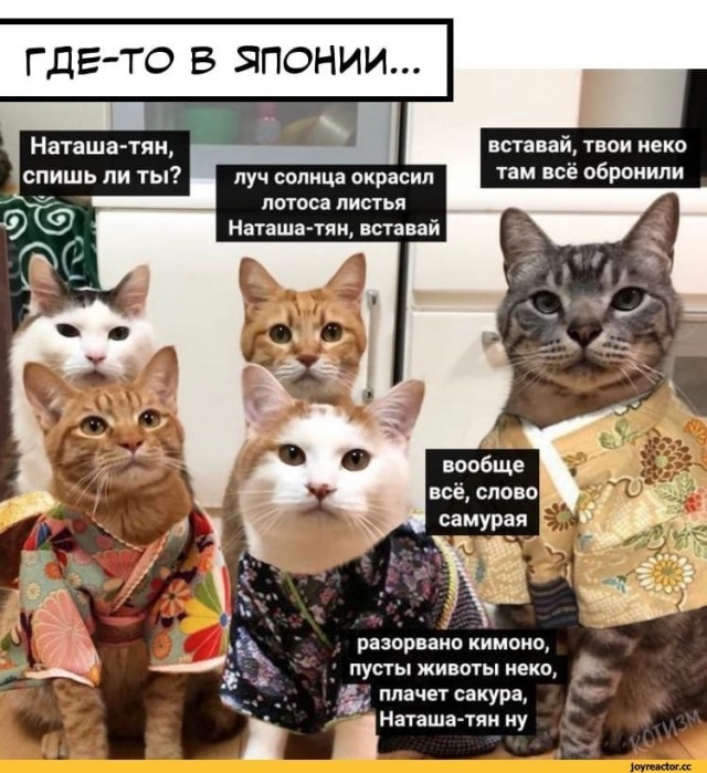 Найди себе уже мужика, Наташа!