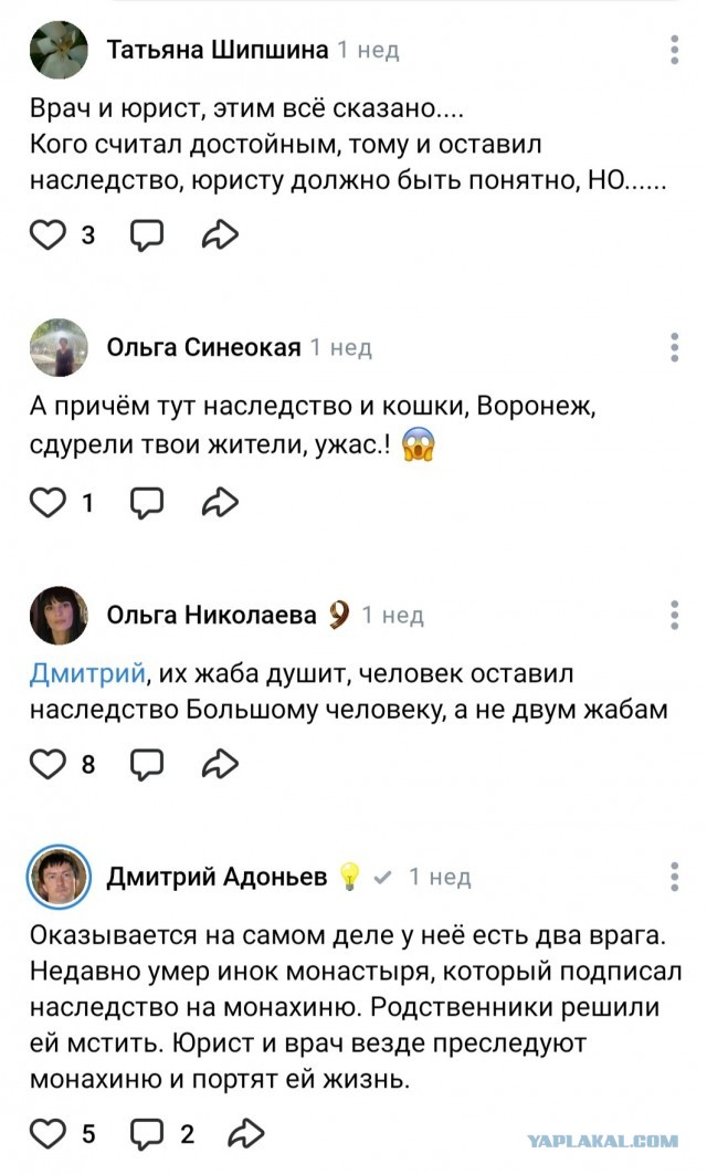 Монахиню, спасающую котят, прогнали от ТЦ в Воронеже, где она раздавала пушистиков